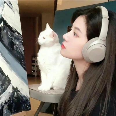 大清风云